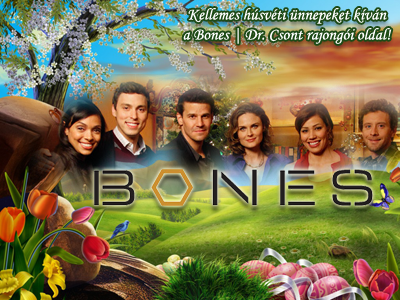 //bones.gportal.hu/portal/bones/image/gallery/1303602307_55.png